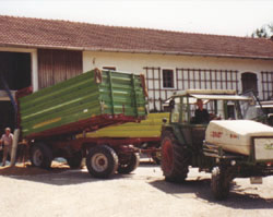 Ausbildungsbetrieb
