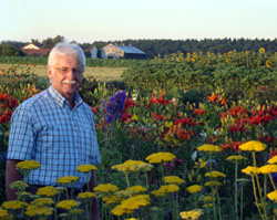 Blumen zum Selberschneiden aud dem Bauerngarten