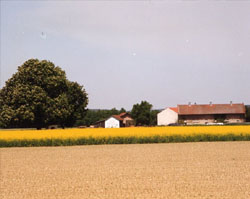 Hof heute